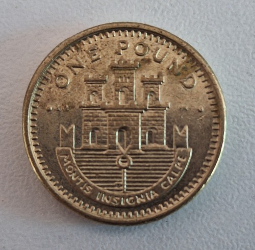 One pound 1999 montis - pound,