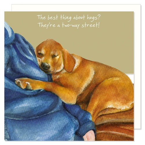 Fox red labrador greeting - fox, card