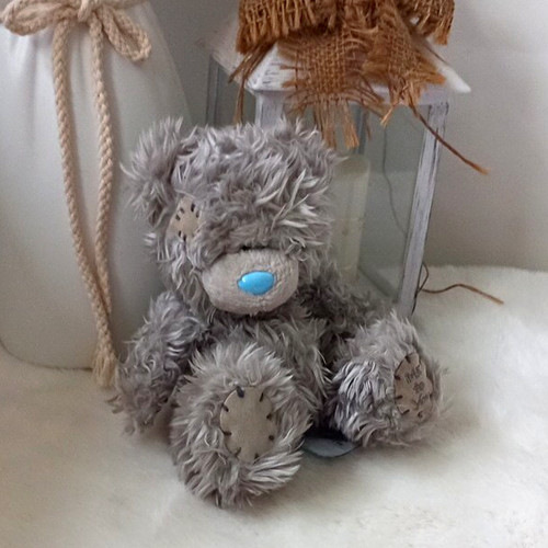 You tatty teddy - me,