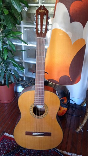 Washburn c40 classical - washburn, series