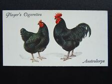 No.30 AUSTRALORPS Poultry by John Player & Sons 1931 CHICKEN FOWL