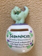 Personalised name Sean Seanodocus Dino Mates Dinosaur Money Jar Bank Box Pot