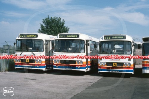 Bus photo sgc - bus,