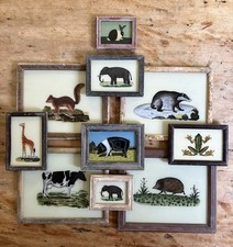 Animal Reverse Glass Paintings