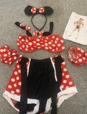 Minnie Mouse Womens Costume