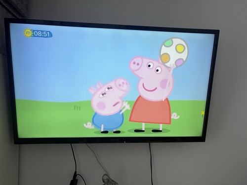 Panasonic l42b6b inch - panasonic, 42