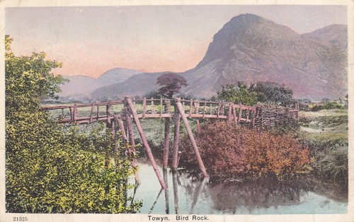 Towyn bird rock 1906 - towyn.,