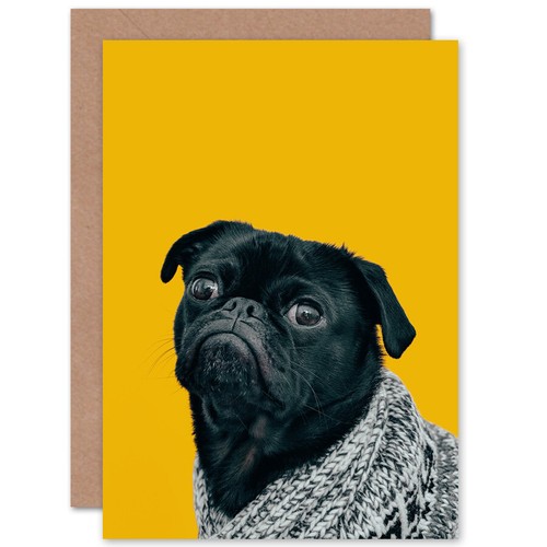 Deluvio pug dog - deluvio, in