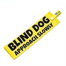 Blind dog approach slowly - -,