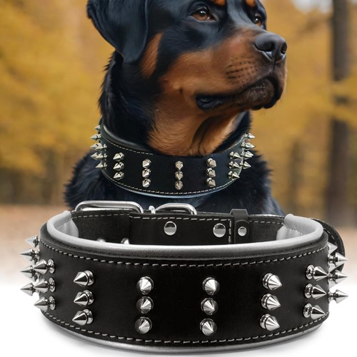 Dog collar studded - studded, pu