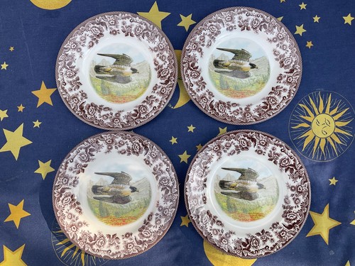 Spode woodland peregrine - spode,