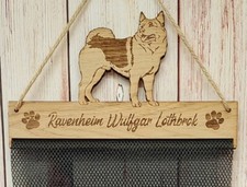 Norwegian Elkhound Dog Puppy