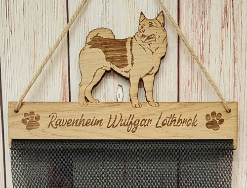 Norwegian elkhound dog puppy - elkhound,