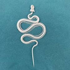 Animal Taxidermy 1 pc Real Snake Skeleton Skull Animal Specimens About 35-40cm