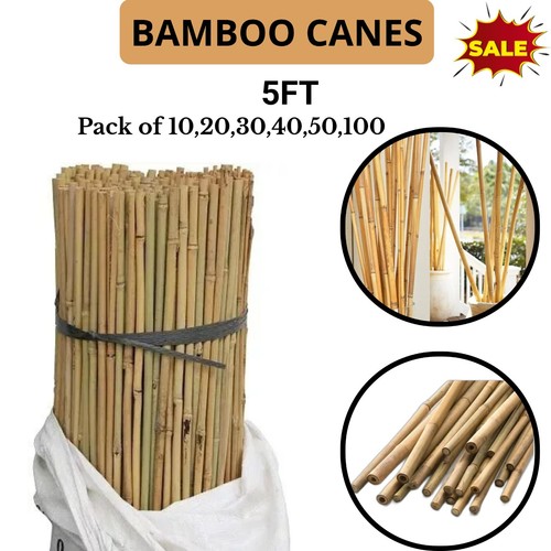 5ft thick bamboo - thick, heavy