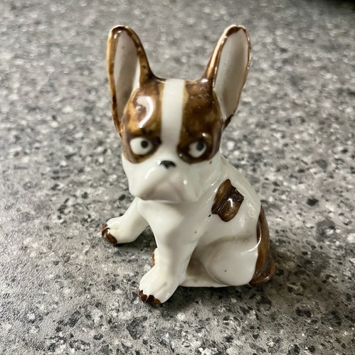 French bull dog - french,