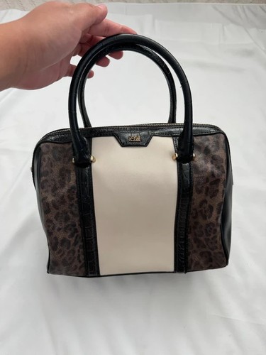 Cavalli class black cream - cavalli,