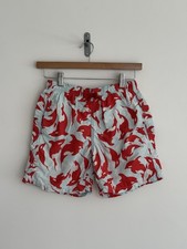 Vilebrequin Turtle Swimming