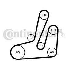 CONTINENTAL CTAM 6PK1390K1