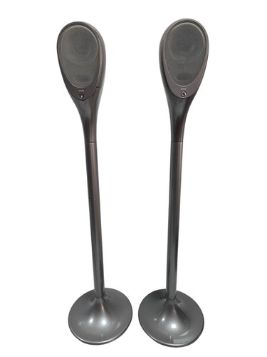Tannoy arena - tannoy,