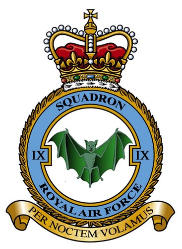 Raf squadron badge metal - badge, on