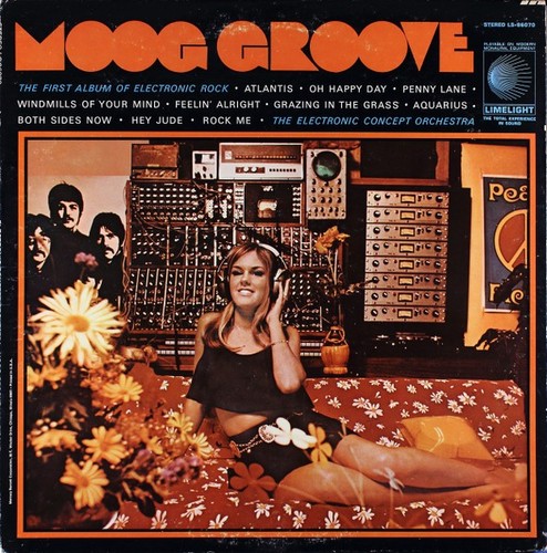 Moog groove the electronic - groove,