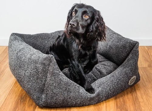 Snug cosy pets teddy - &,
