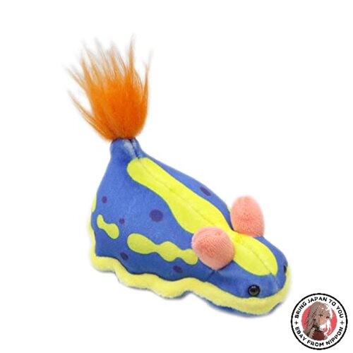 New takeoff pokepuni blue - pokepuni, sea