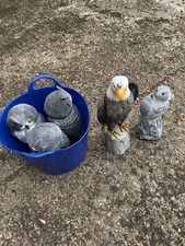 Garden Owles And Eagles