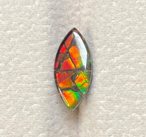 Natural ammolite 8ct - natural,