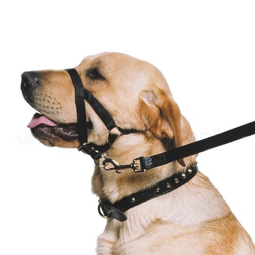 Ancol nylon dog training - ancol,