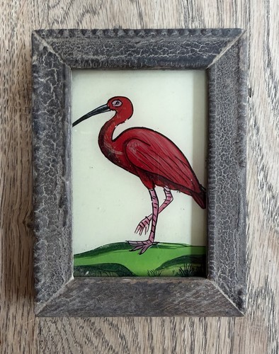 Ibis indian vintage reverse - indian,