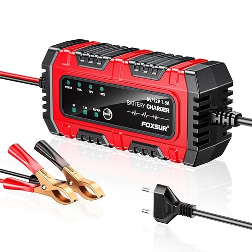 12v smart battery - 6v/12v,