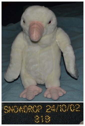 Pre loved bristol - pre-loved, snowdrop