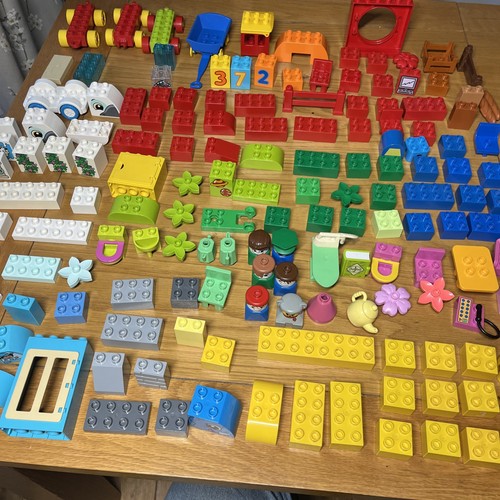 Duplo brick bundle with