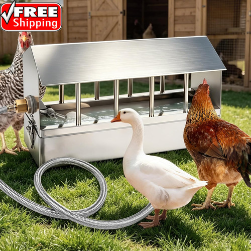 Chicken waterer stainless - chicken,