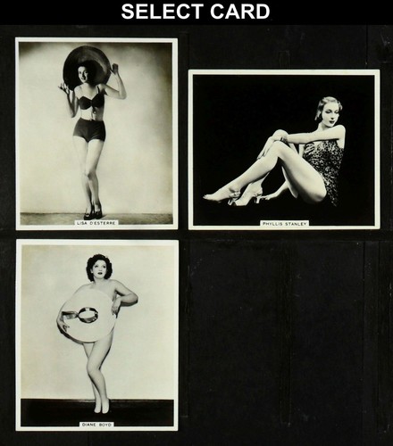 Modern beauties t - b.a.t, bat