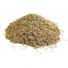 LAWN GRASS SEED 1KG FINE RYE