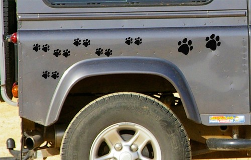 Black paw print - 28,