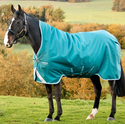 Horseware amigo bravo - bravo, wug