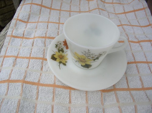 Vintage pyrex autumn glory - glory,