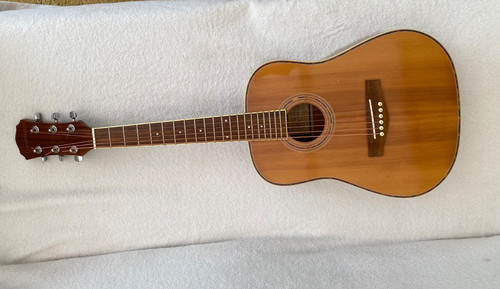 Freshman fa1s junior acoustic - junior,