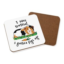 I Was Normal 3 Guinea Pigs Ago