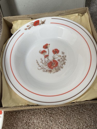 Vintage arcopal soup - soup, plates