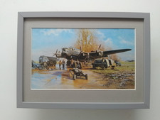 David Shepherd Aircraft print