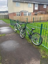 Apollo Twilight Women's