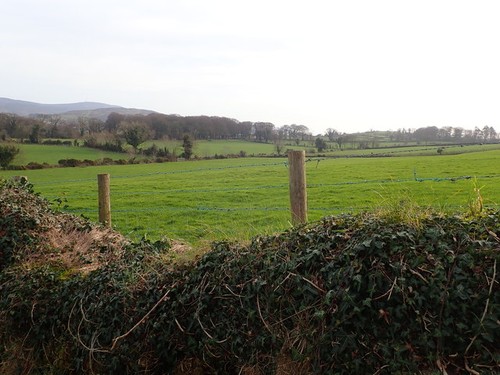 Photo 6x4 pasture land - land, the