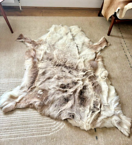 Lapland premium large reindeer - lapland,
