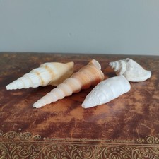 Job Lot Vintage Spiral Sea
