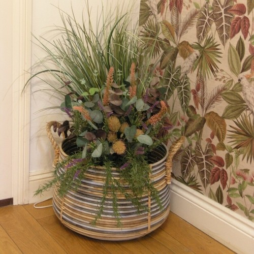 Wicker storage basket plant - /,